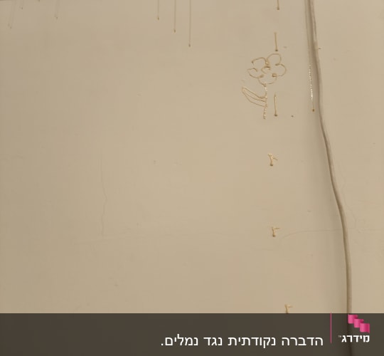 יישום פתיון ג